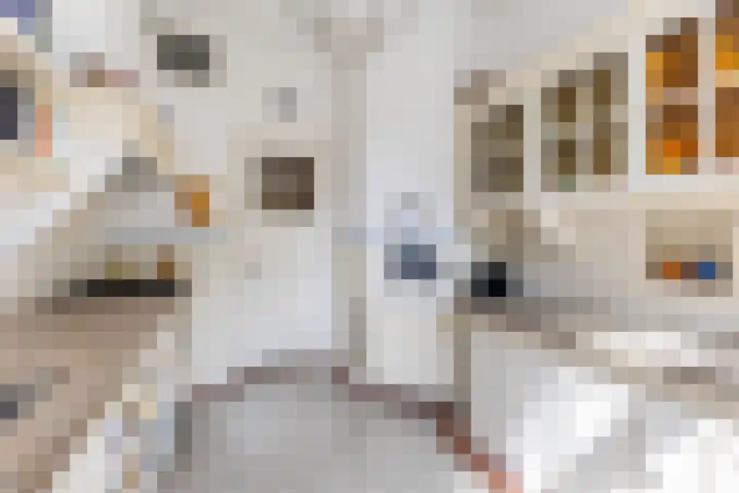 Willem de Zwijgerstraat 15 Utrecht thumbnail 18