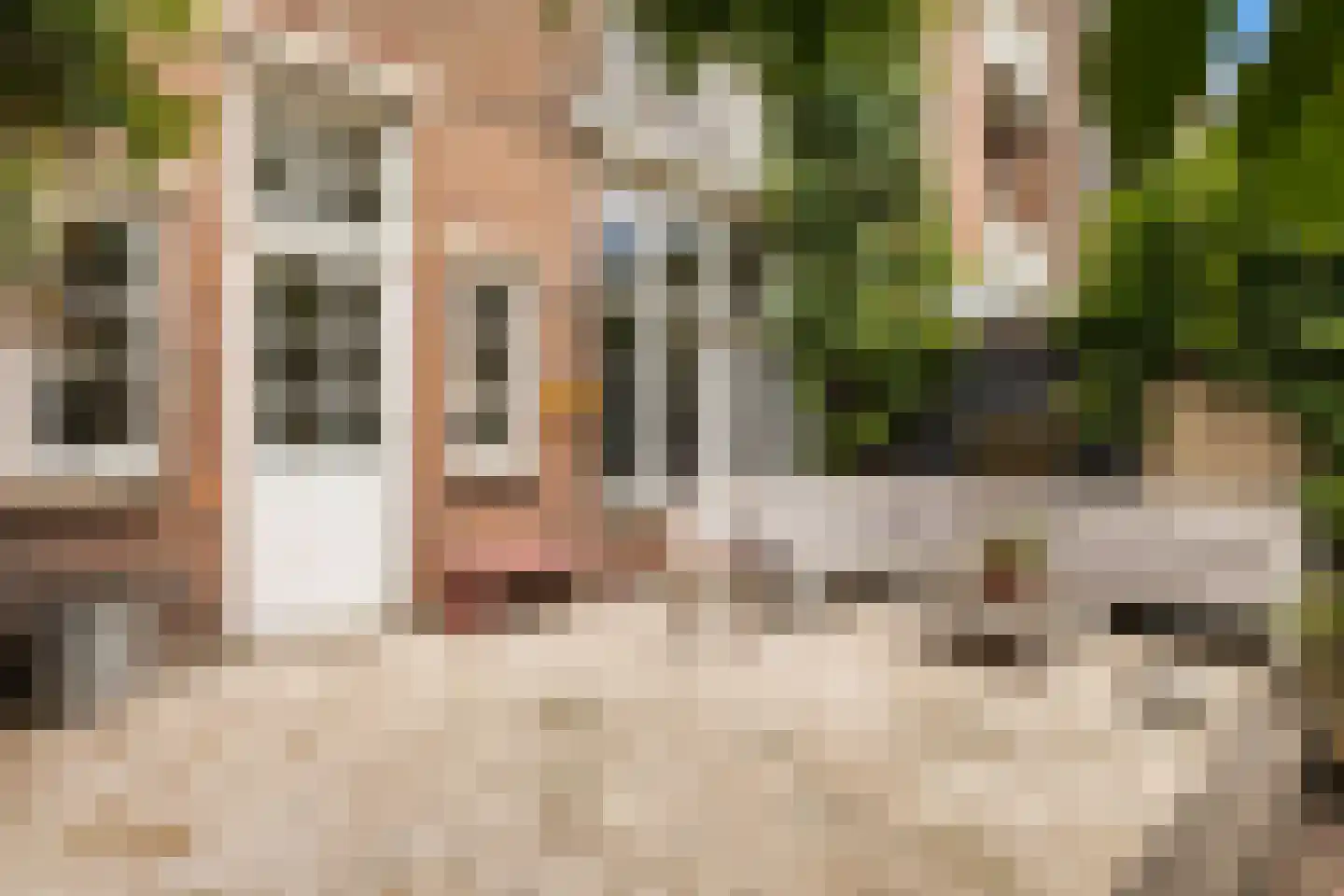 Willem de Zwijgerstraat 15 Utrecht thumbnail 21