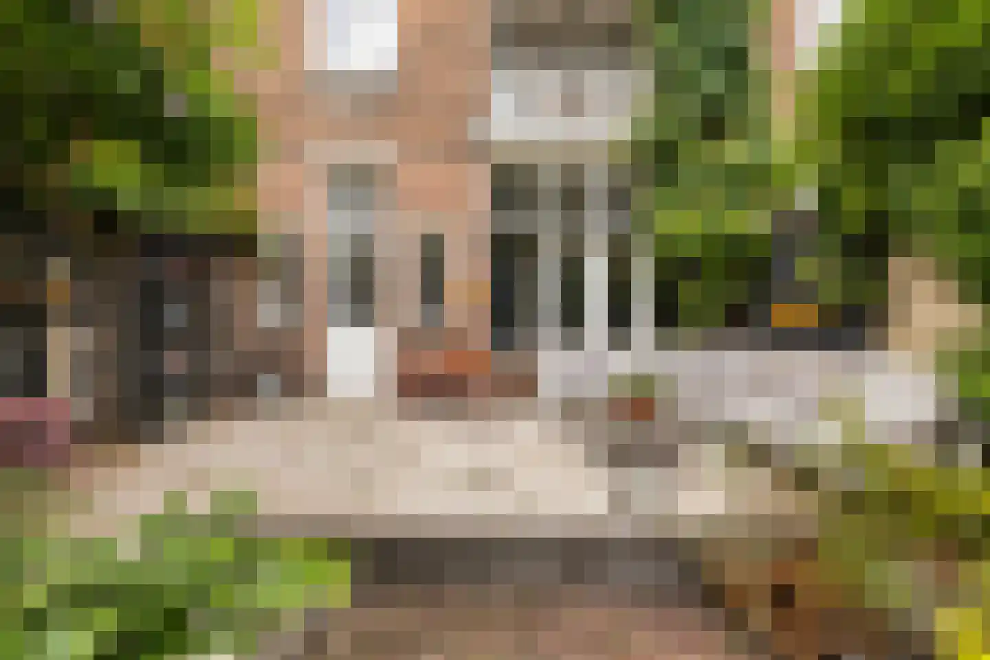 Willem de Zwijgerstraat 15 Utrecht thumbnail 22