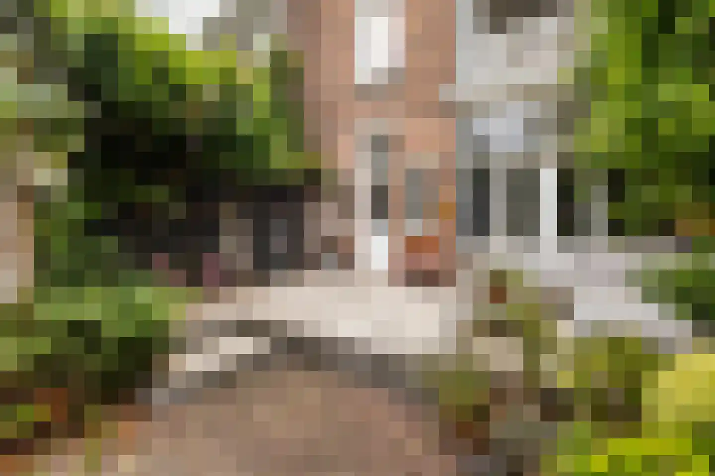 Willem de Zwijgerstraat 15 Utrecht thumbnail 23