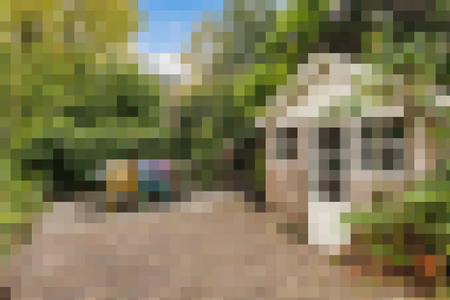 Willem de Zwijgerstraat 15 Utrecht thumbnail 24