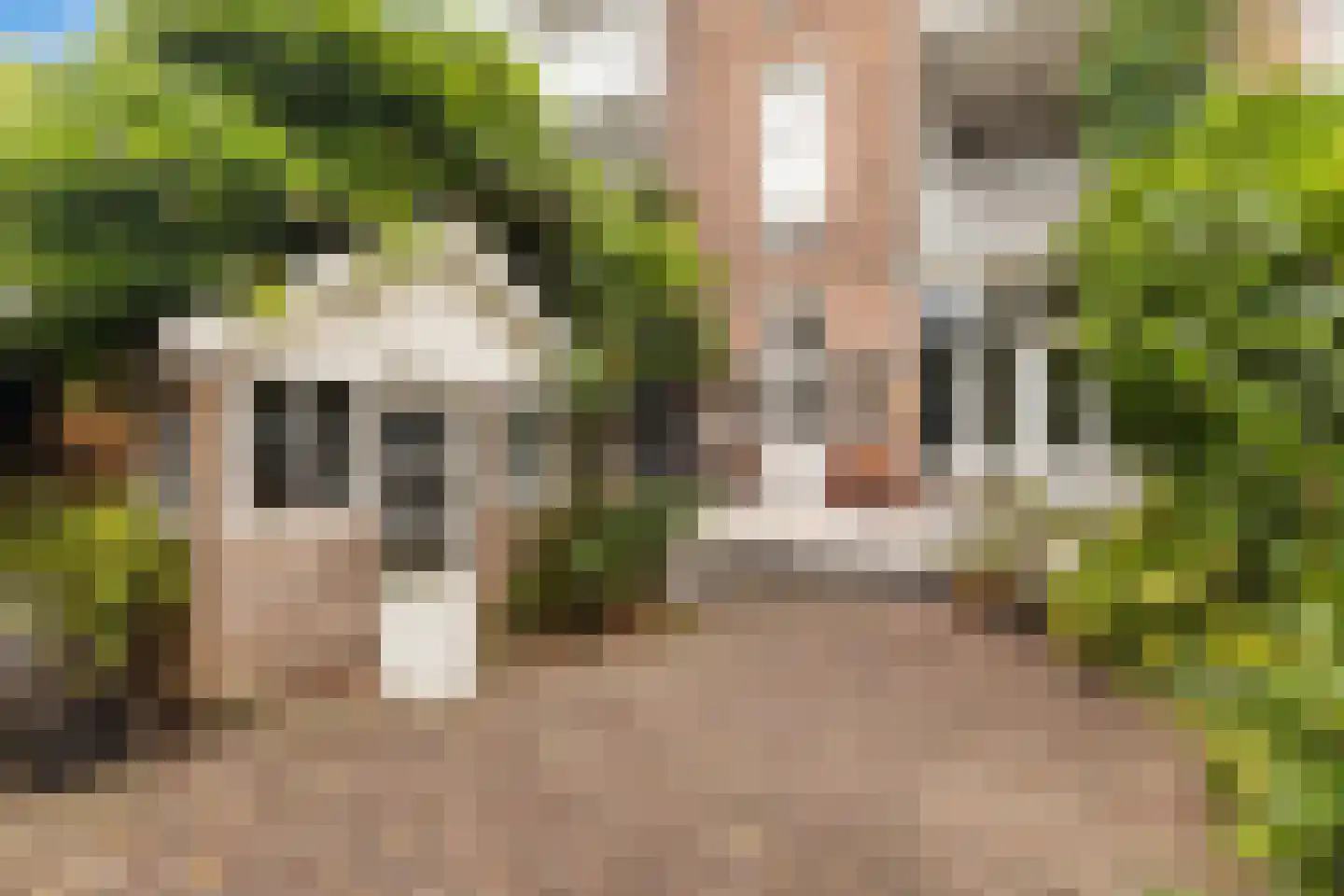 Willem de Zwijgerstraat 15 Utrecht thumbnail 25
