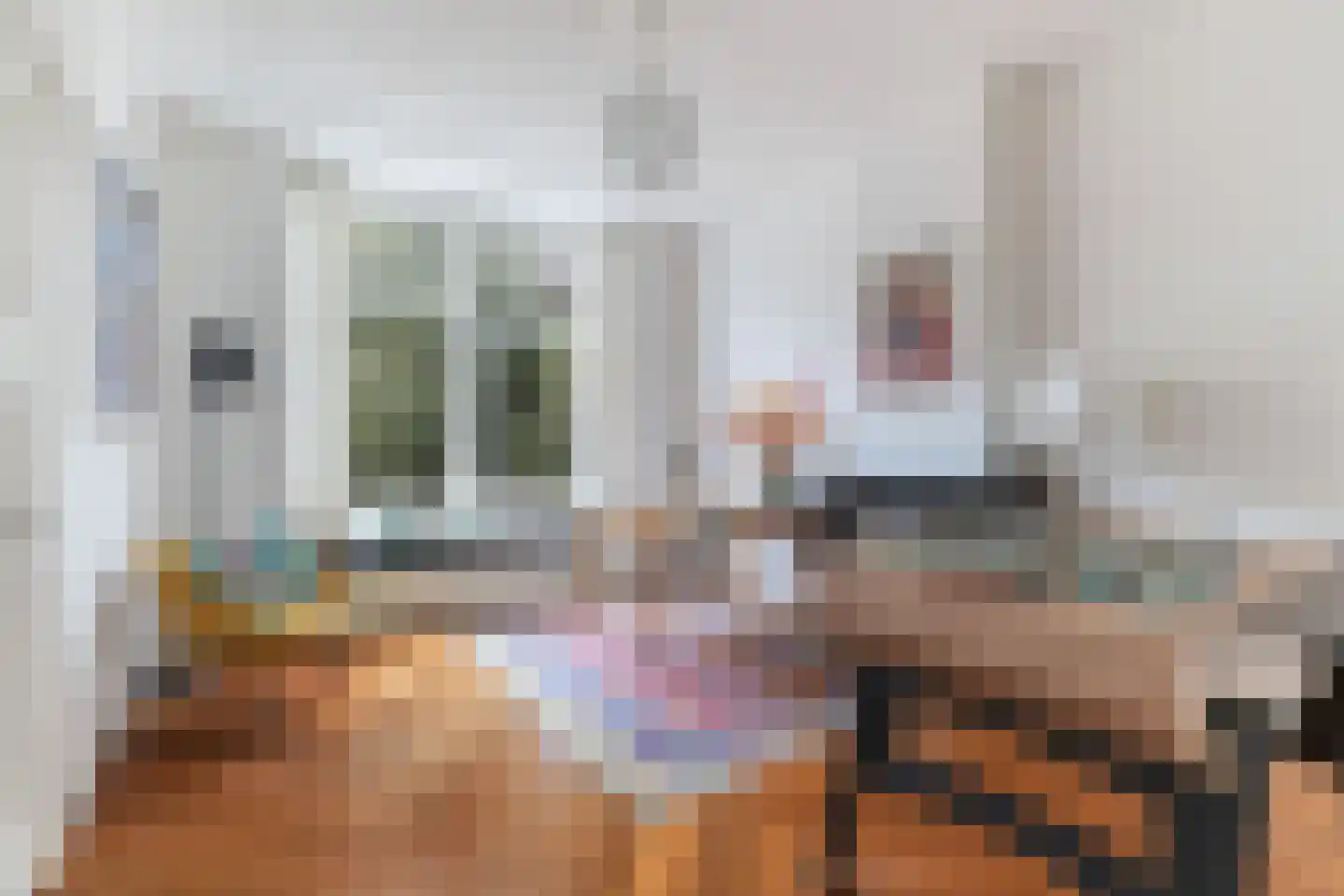 Willem de Zwijgerstraat 15 Utrecht thumbnail 33