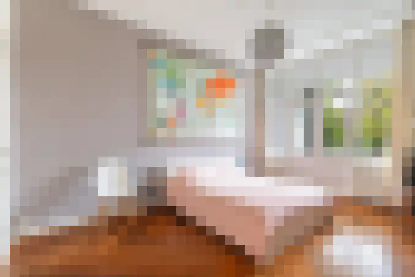 Willem de Zwijgerstraat 15 Utrecht thumbnail 35