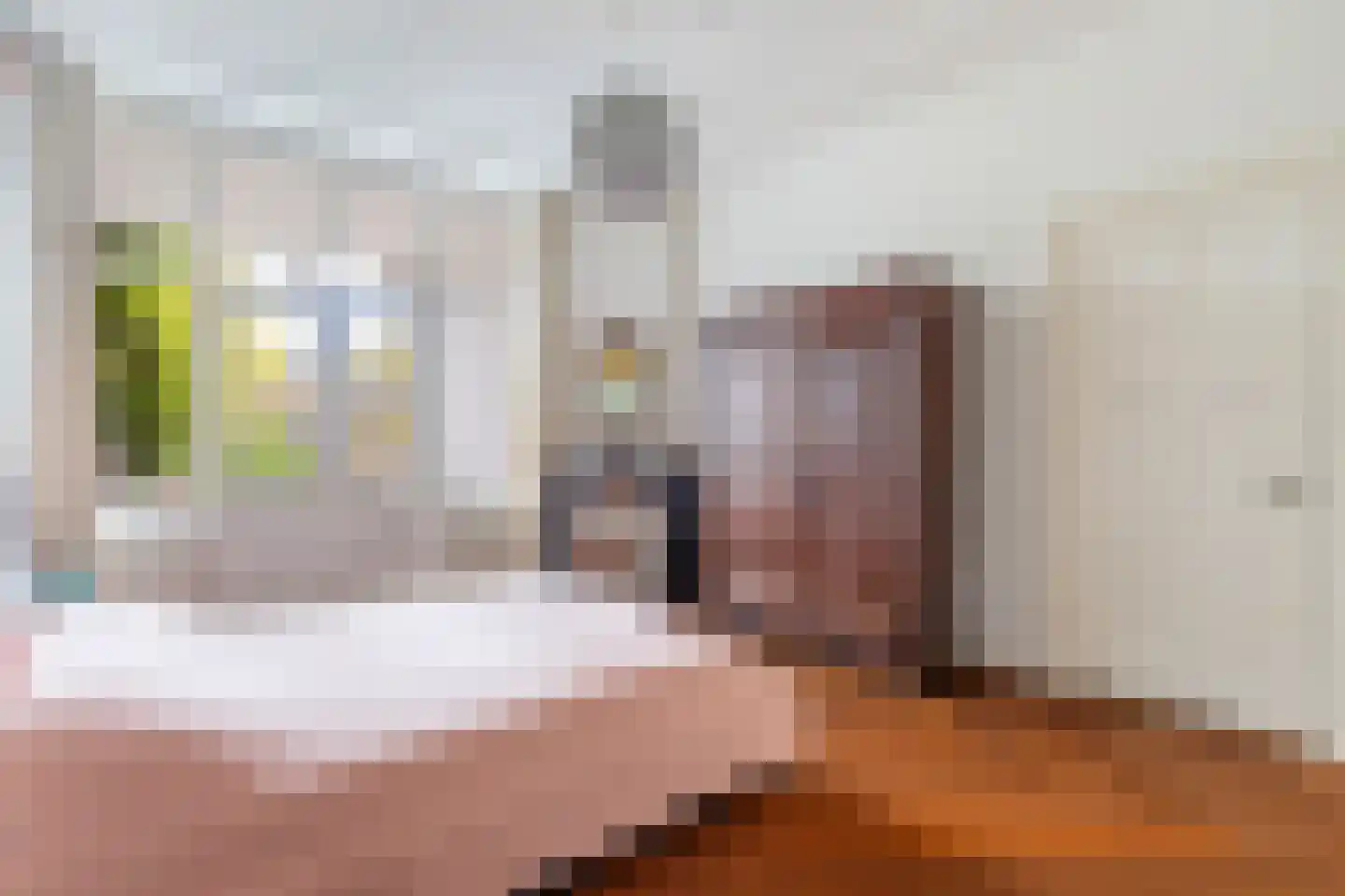 Willem de Zwijgerstraat 15 Utrecht thumbnail 36