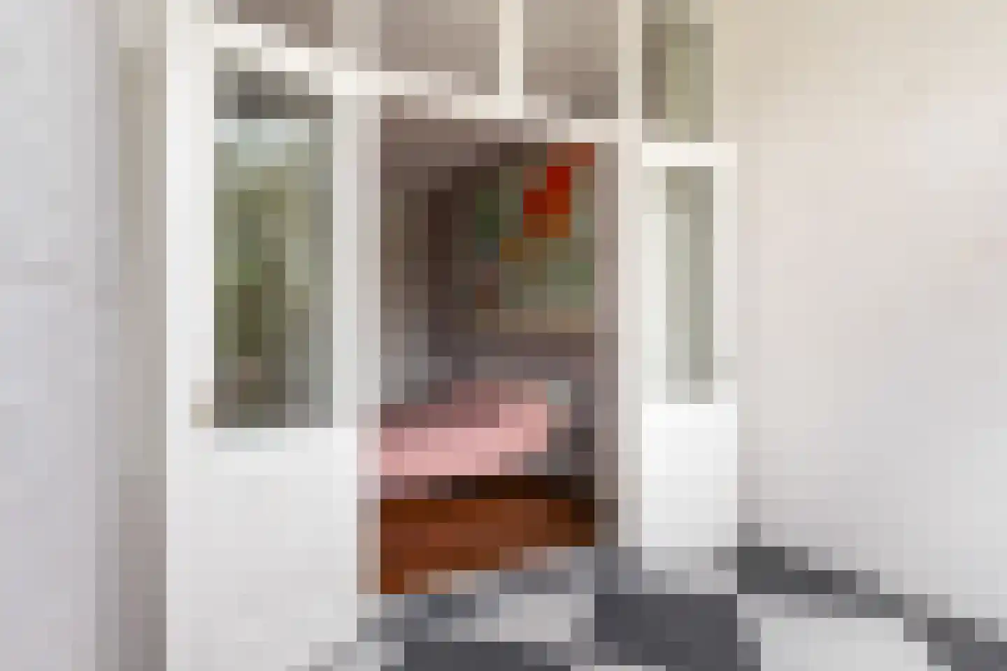 Willem de Zwijgerstraat 15 Utrecht thumbnail 38