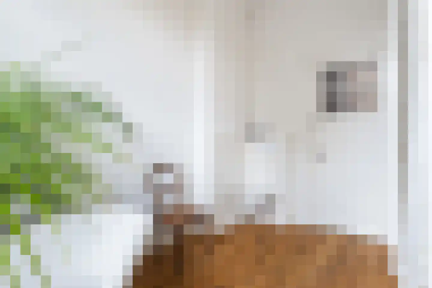 Willem de Zwijgerstraat 15 Utrecht thumbnail 43