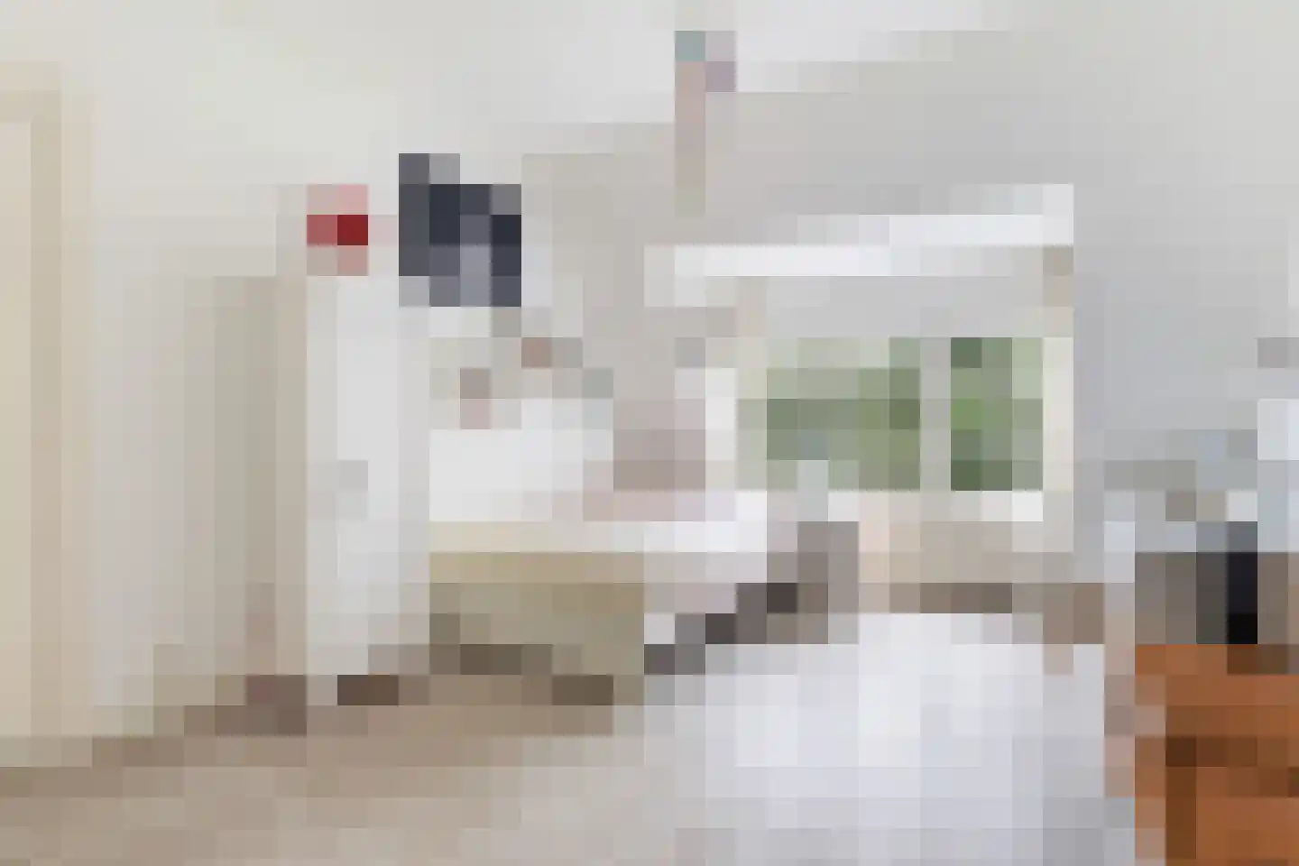 Willem de Zwijgerstraat 15 Utrecht thumbnail 49
