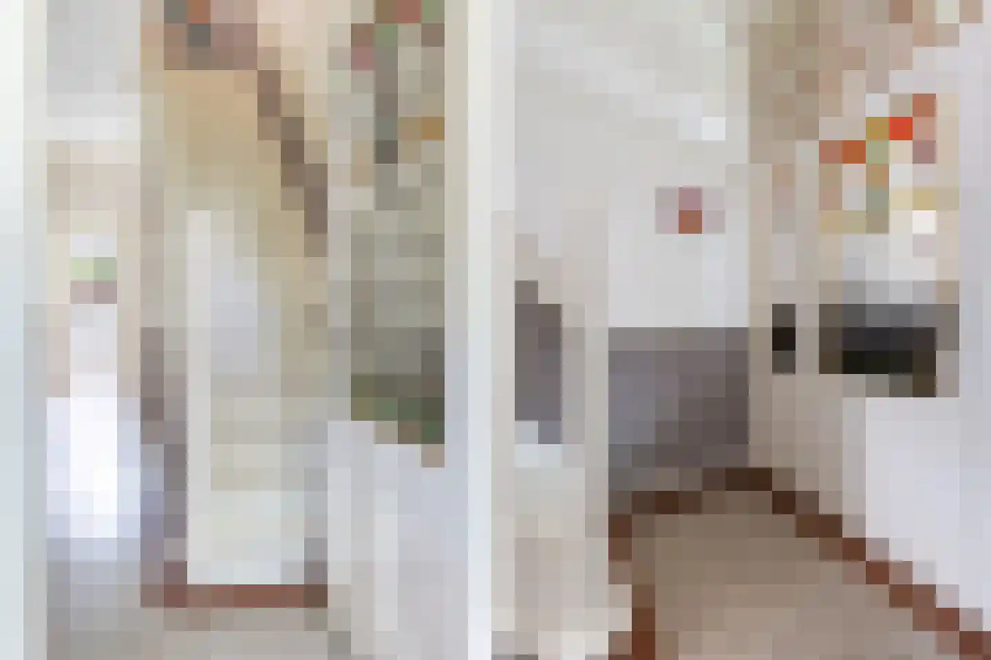 Willem de Zwijgerstraat 15 Utrecht thumbnail 5
