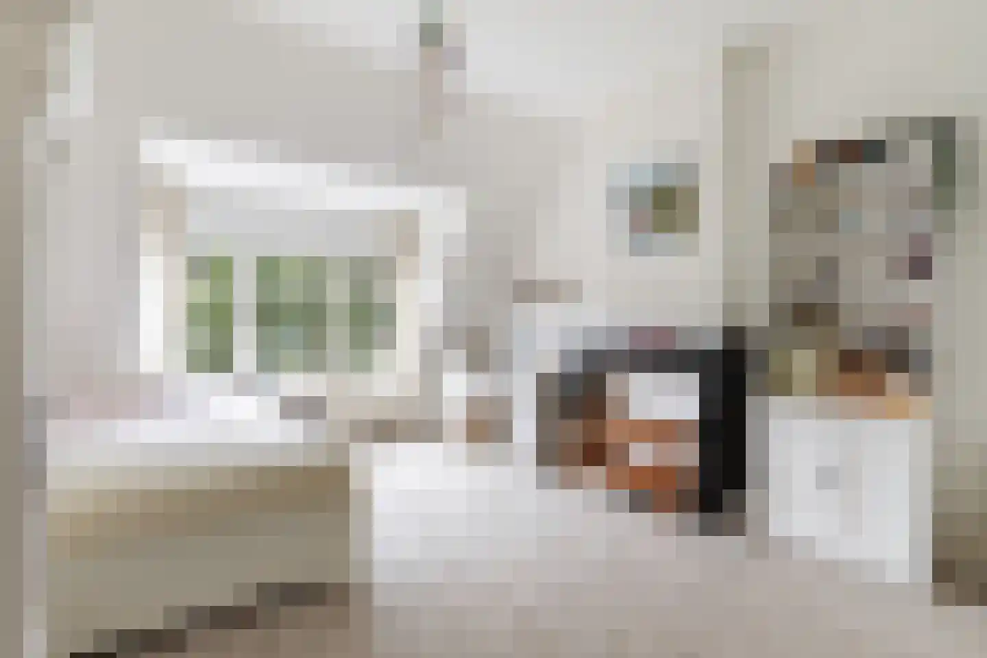 Willem de Zwijgerstraat 15 Utrecht thumbnail 50