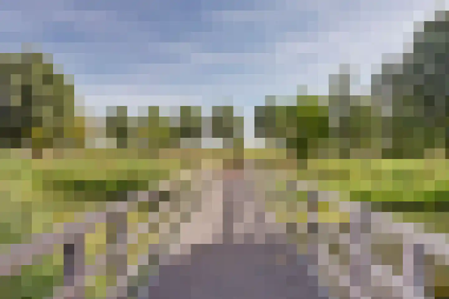 Willem de Zwijgerstraat 17 a Bodegraven thumbnail 26