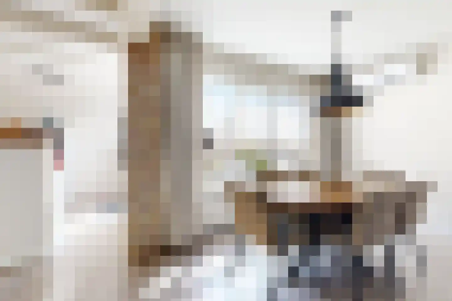 Willem de Zwijgerstraat 2 Fijnaart thumbnail 11