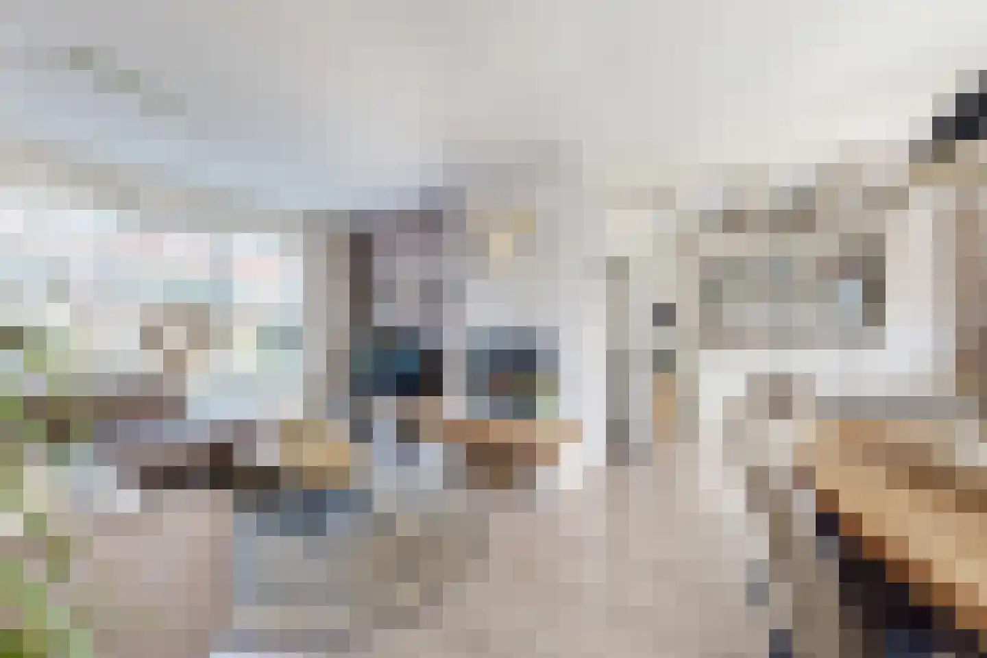 Willem de Zwijgerstraat 2 Fijnaart thumbnail 12