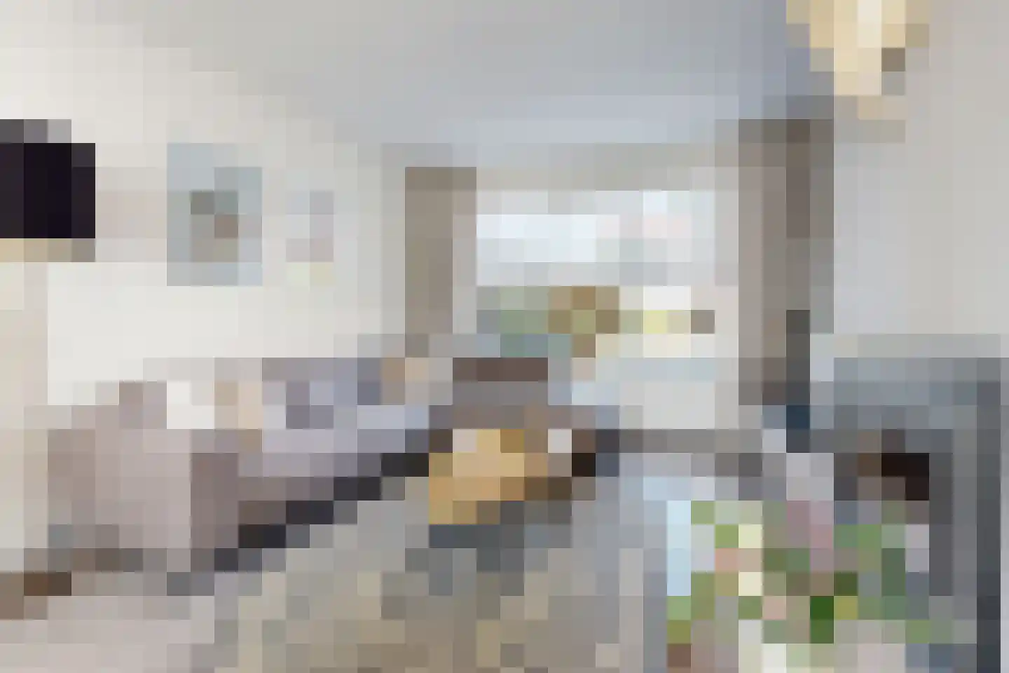 Willem de Zwijgerstraat 2 Fijnaart thumbnail 14