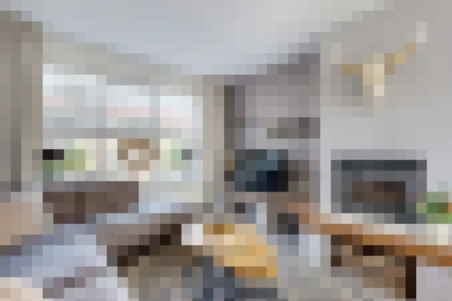 Willem de Zwijgerstraat 2 Fijnaart thumbnail 15