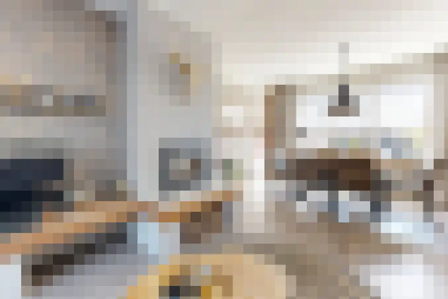Willem de Zwijgerstraat 2 Fijnaart thumbnail 17