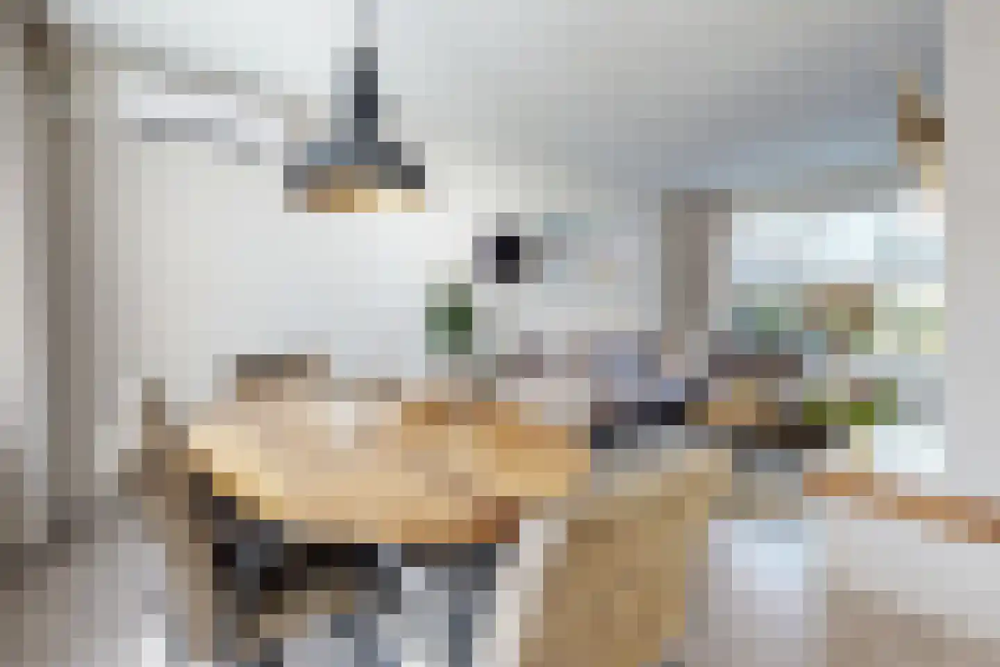 Willem de Zwijgerstraat 2 Fijnaart thumbnail 19