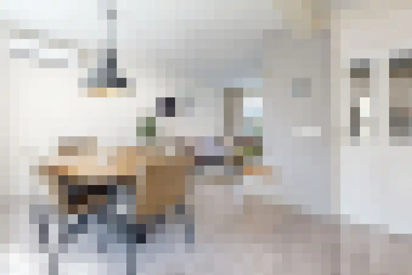 Willem de Zwijgerstraat 2 Fijnaart thumbnail 20