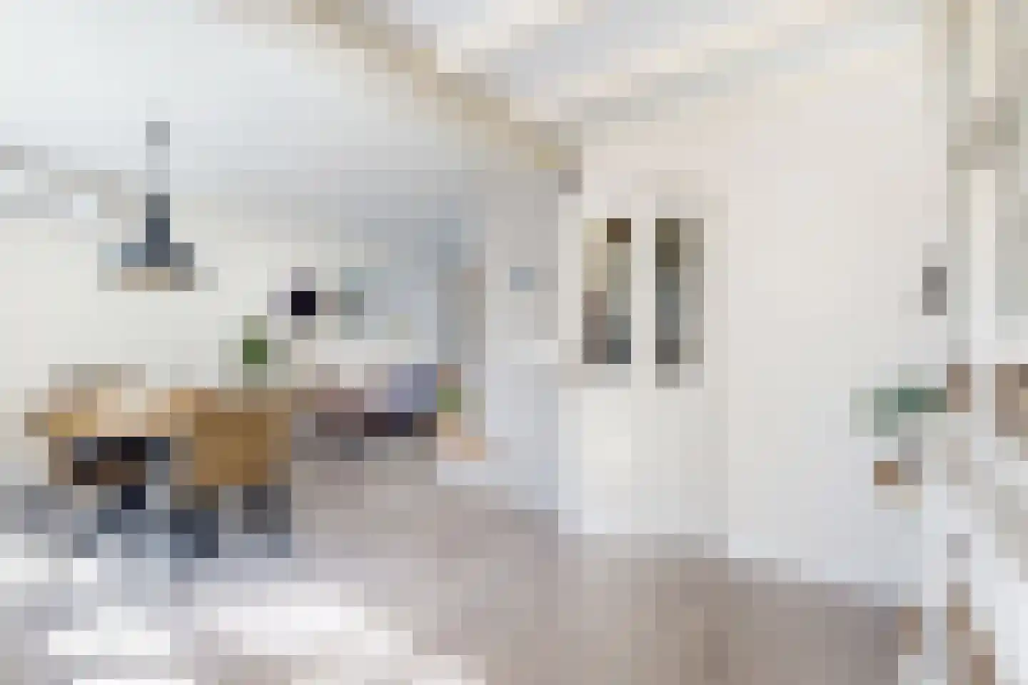 Willem de Zwijgerstraat 2 Fijnaart thumbnail 21