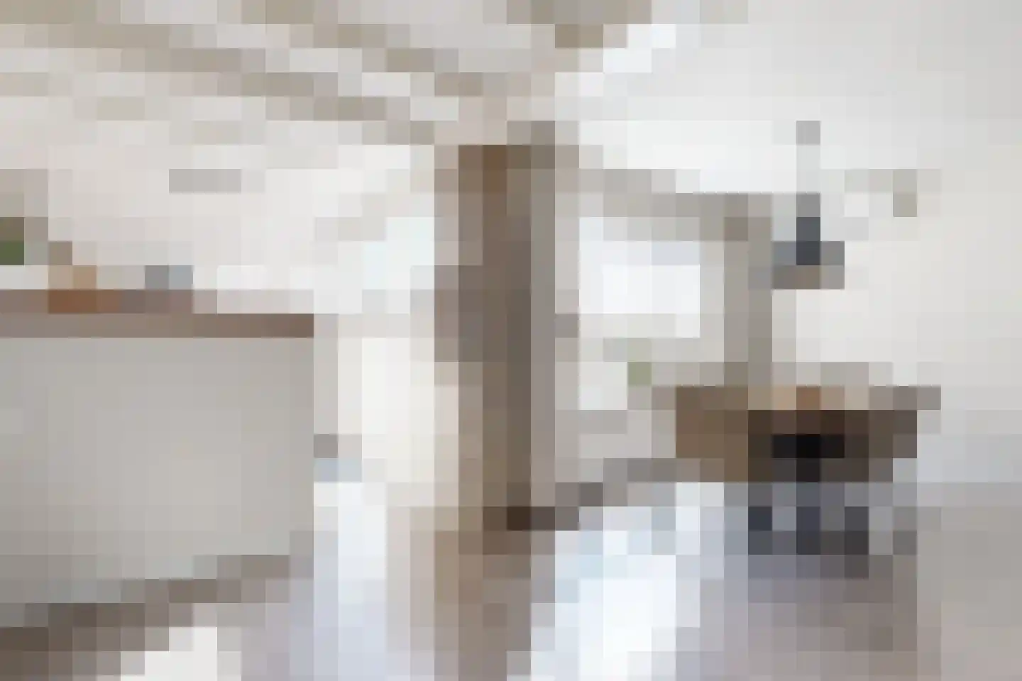 Willem de Zwijgerstraat 2 Fijnaart thumbnail 25