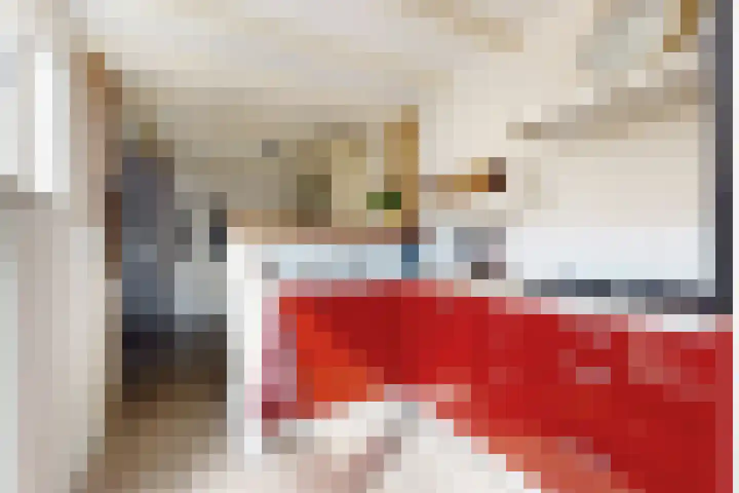 Willem de Zwijgerstraat 2 Fijnaart thumbnail 28