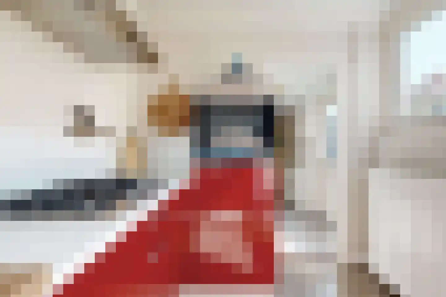 Willem de Zwijgerstraat 2 Fijnaart thumbnail 30