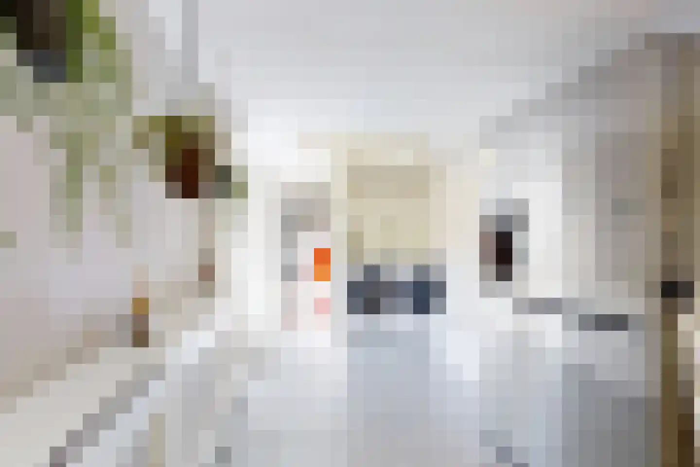 Willem de Zwijgerstraat 2 Fijnaart thumbnail 32