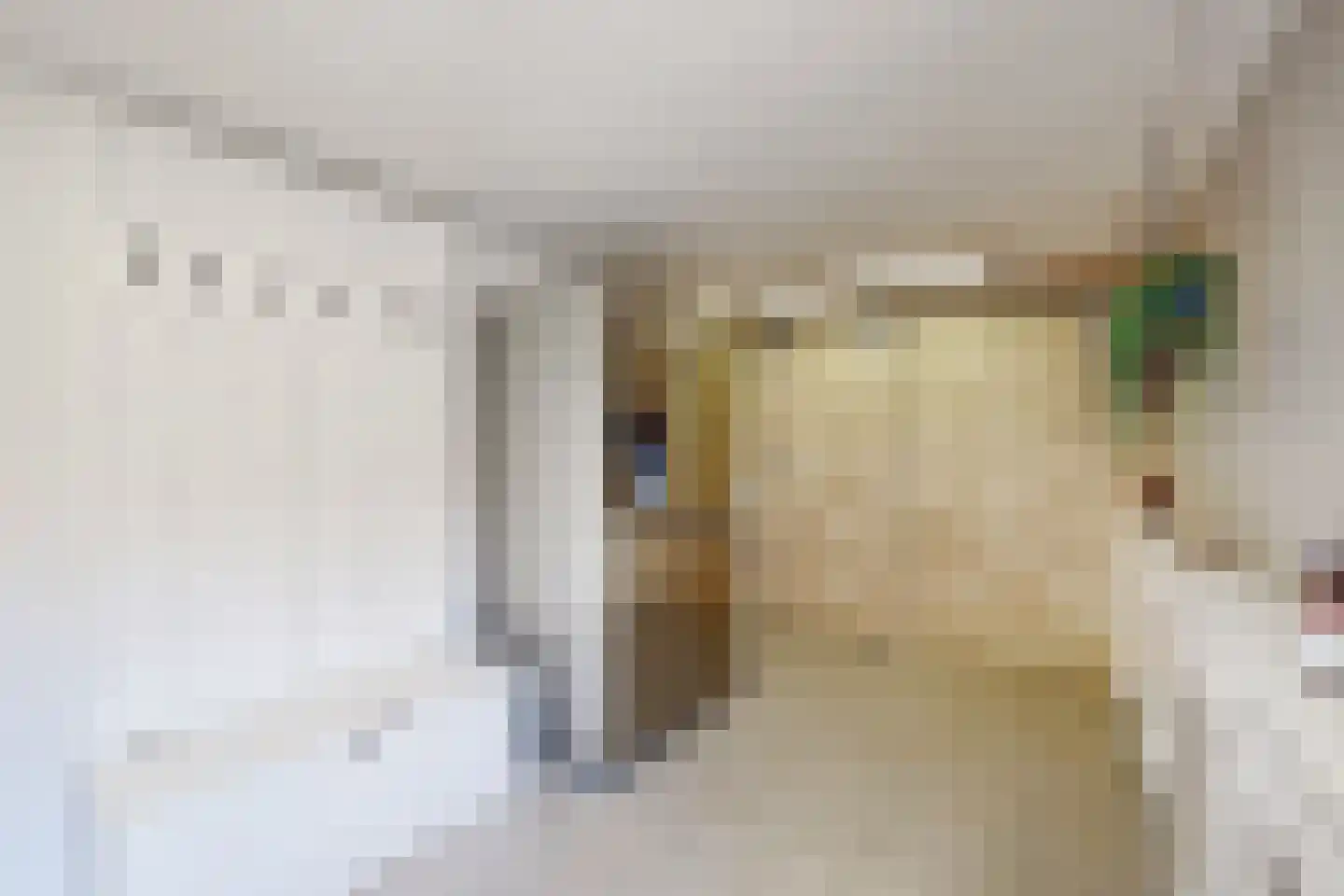 Willem de Zwijgerstraat 2 Fijnaart thumbnail 33