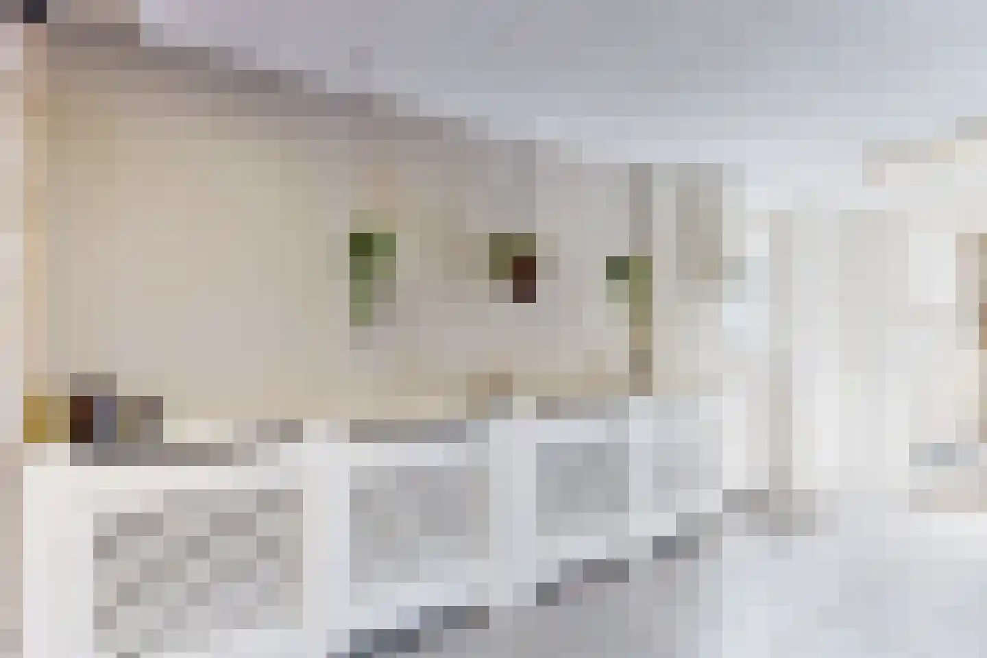 Willem de Zwijgerstraat 2 Fijnaart thumbnail 34