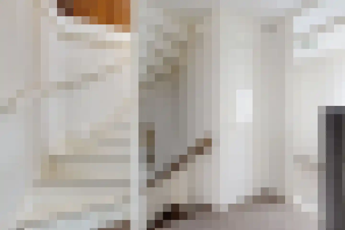 Willem de Zwijgerstraat 2 Fijnaart thumbnail 35