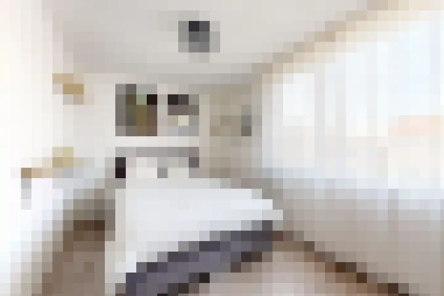 Willem de Zwijgerstraat 2 Fijnaart thumbnail 45