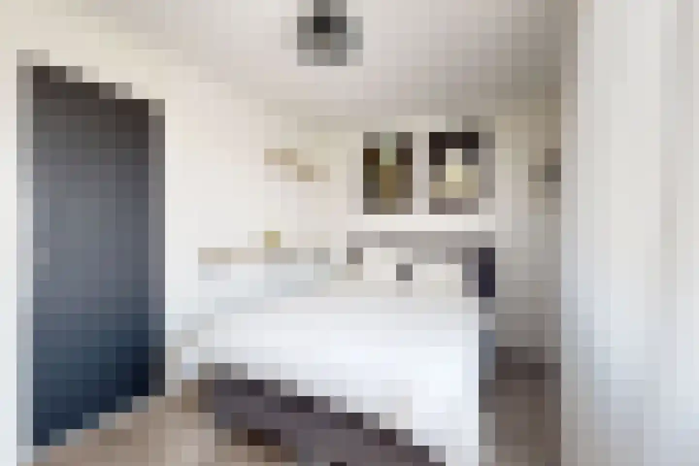 Willem de Zwijgerstraat 2 Fijnaart thumbnail 46
