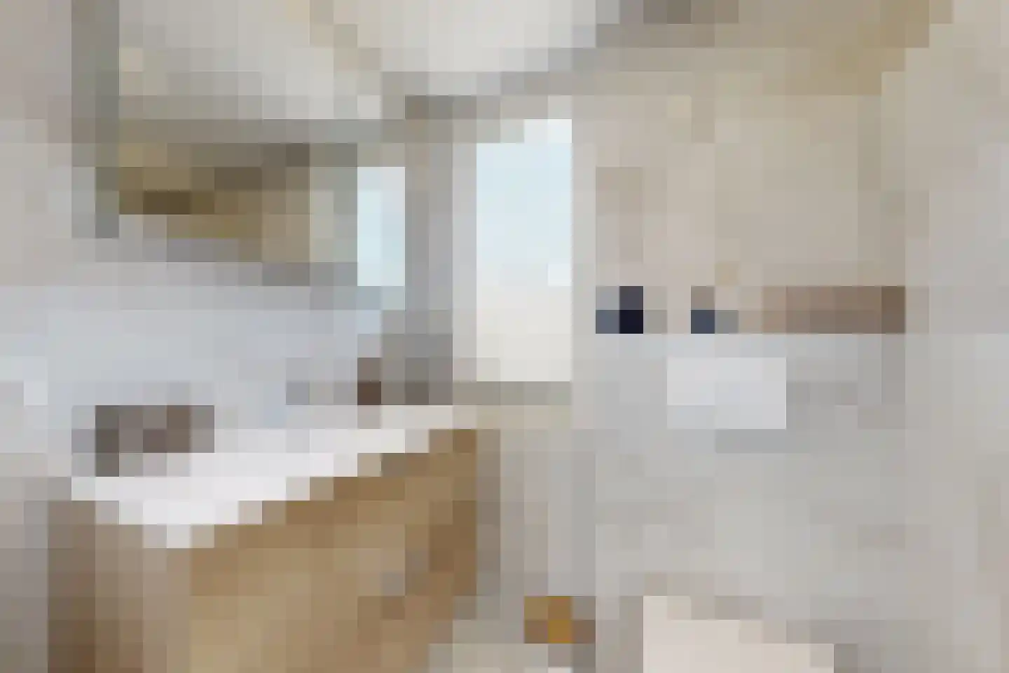 Willem de Zwijgerstraat 2 Fijnaart thumbnail 48