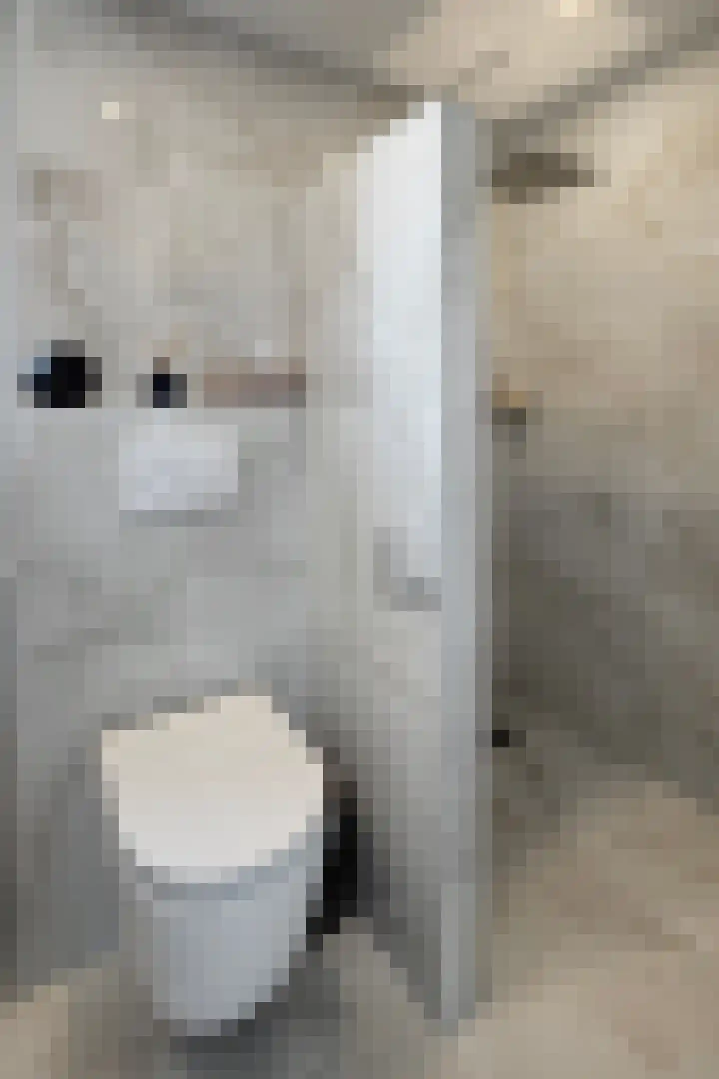Willem de Zwijgerstraat 2 Fijnaart thumbnail 51