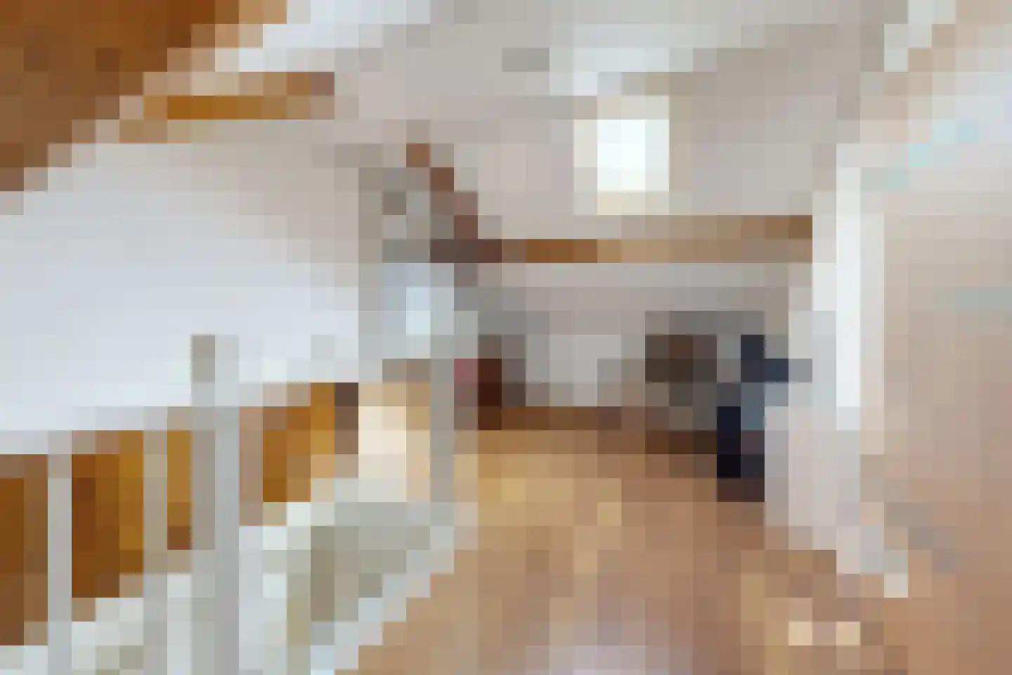 Willem de Zwijgerstraat 2 Fijnaart thumbnail 52