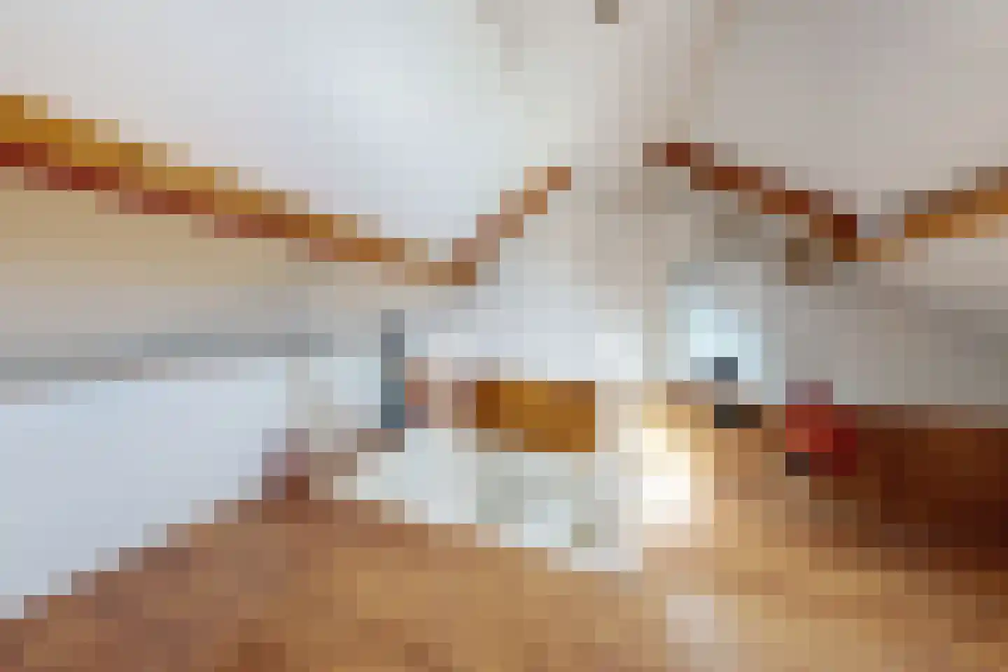 Willem de Zwijgerstraat 2 Fijnaart thumbnail 54