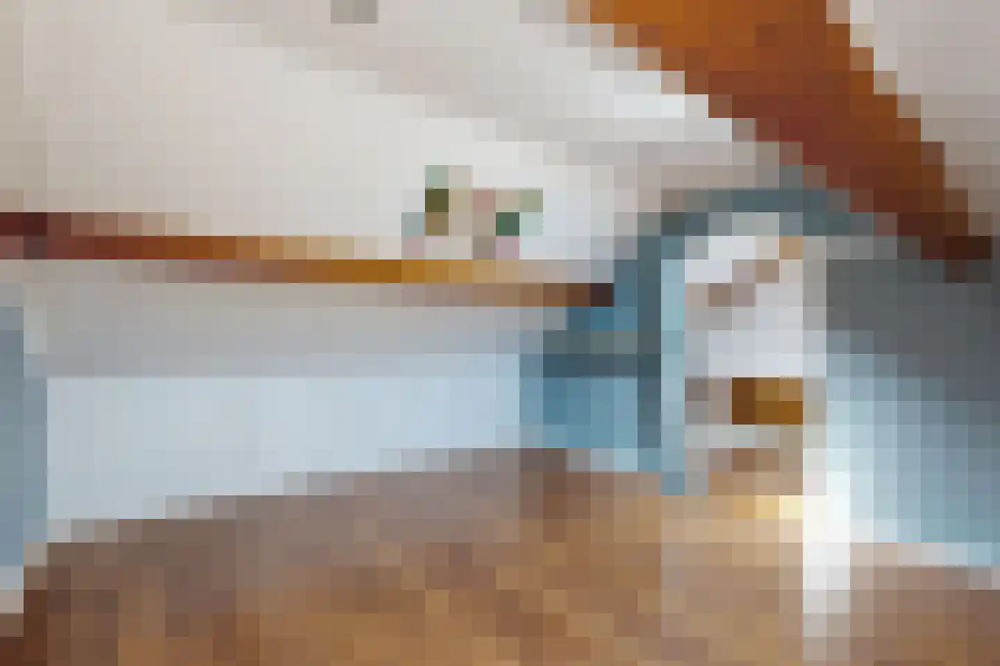 Willem de Zwijgerstraat 2 Fijnaart thumbnail 57