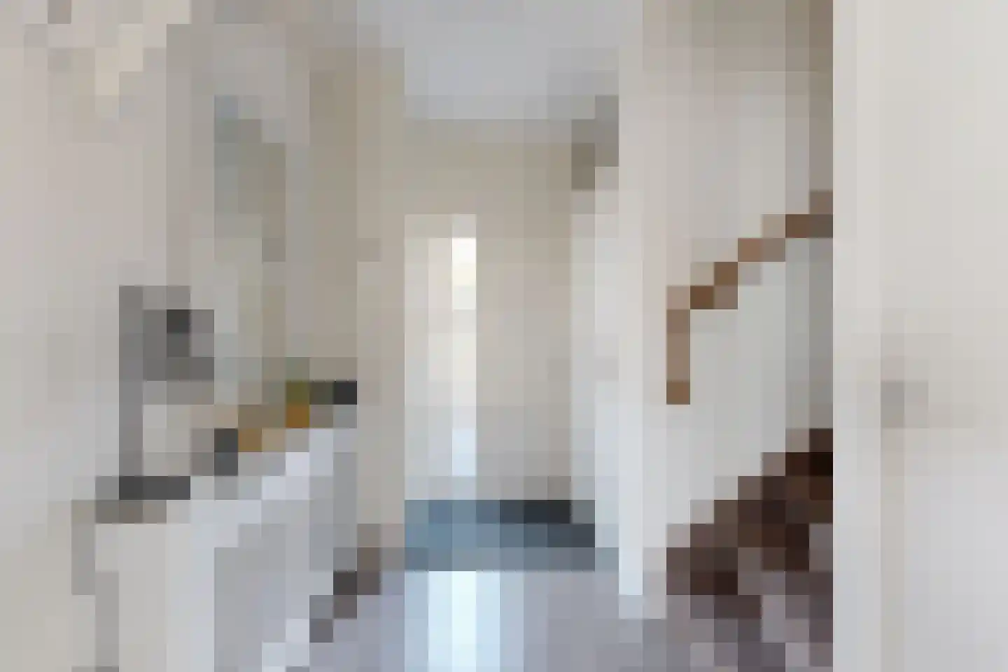 Willem de Zwijgerstraat 2 Fijnaart thumbnail 8