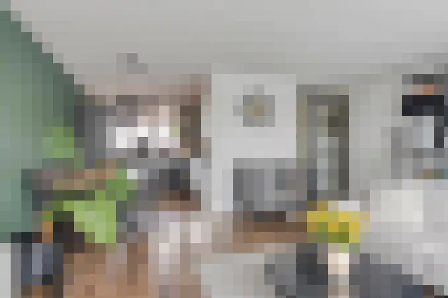 Willem de Zwijgerstraat 2 Hendrik-Ido-Ambacht thumbnail 7