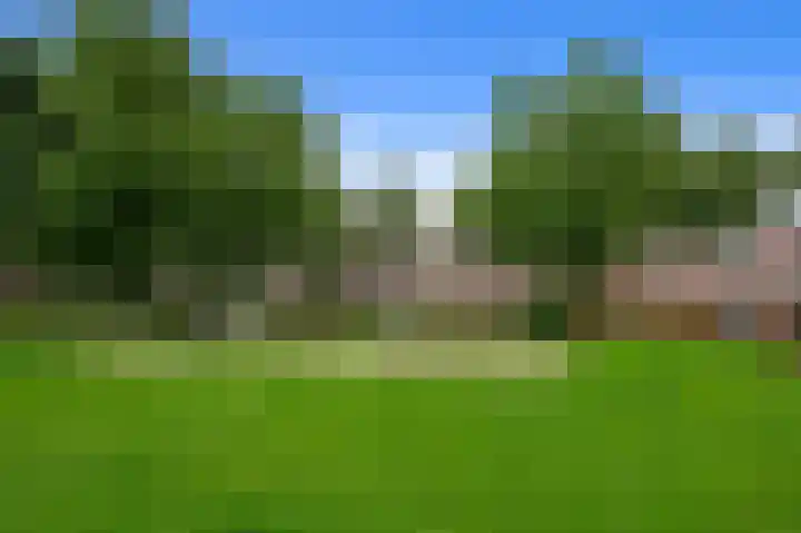 Willem de Zwijgerstraat 20 Groningen thumbnail 37