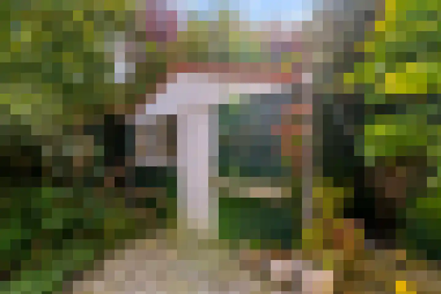 Willem de Zwijgerstraat 21 Utrecht thumbnail 16