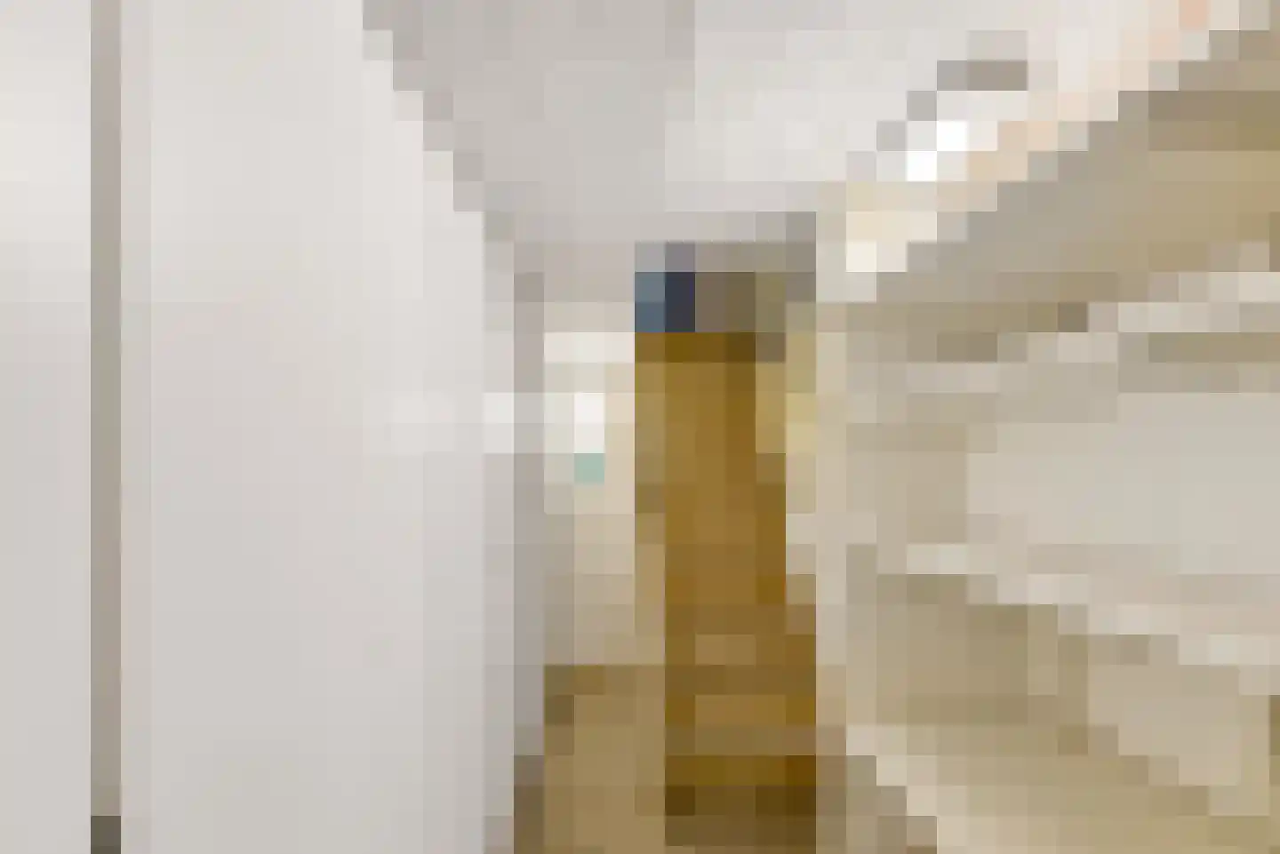 Willem de Zwijgerstraat 21 Utrecht thumbnail 20