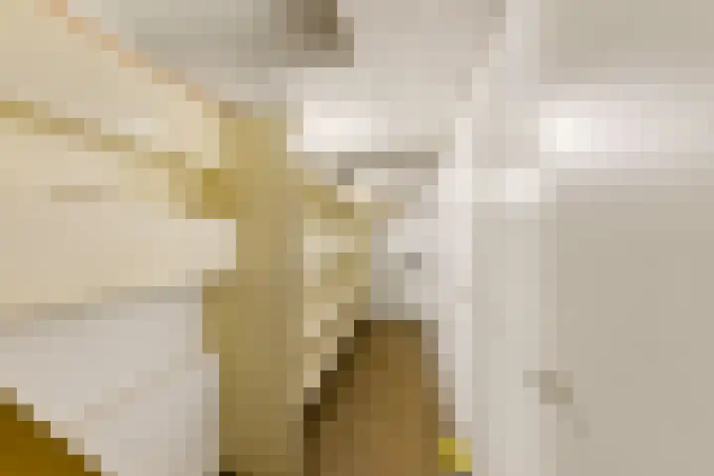 Willem de Zwijgerstraat 21 Utrecht thumbnail 21