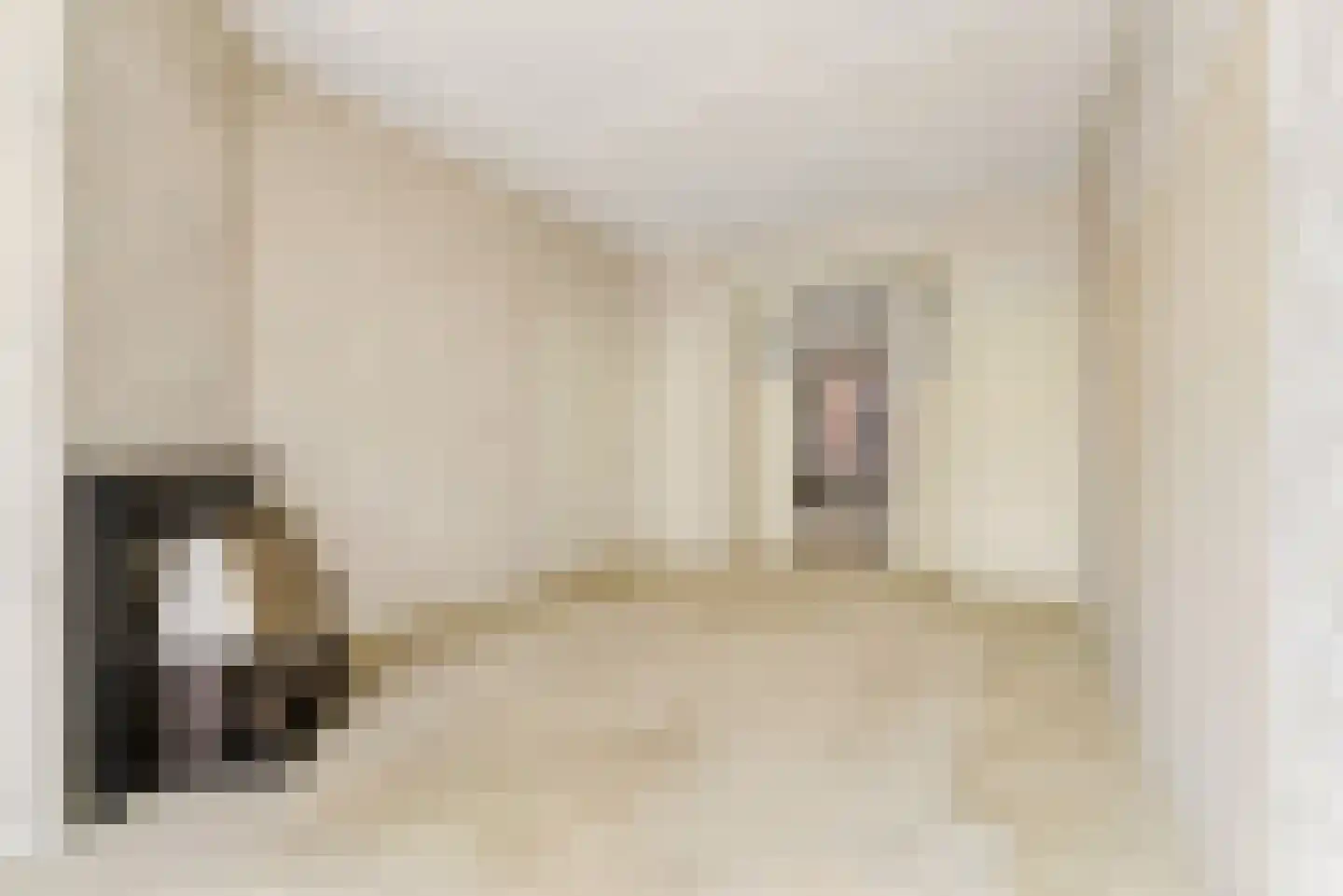 Willem de Zwijgerstraat 21 Utrecht thumbnail 26