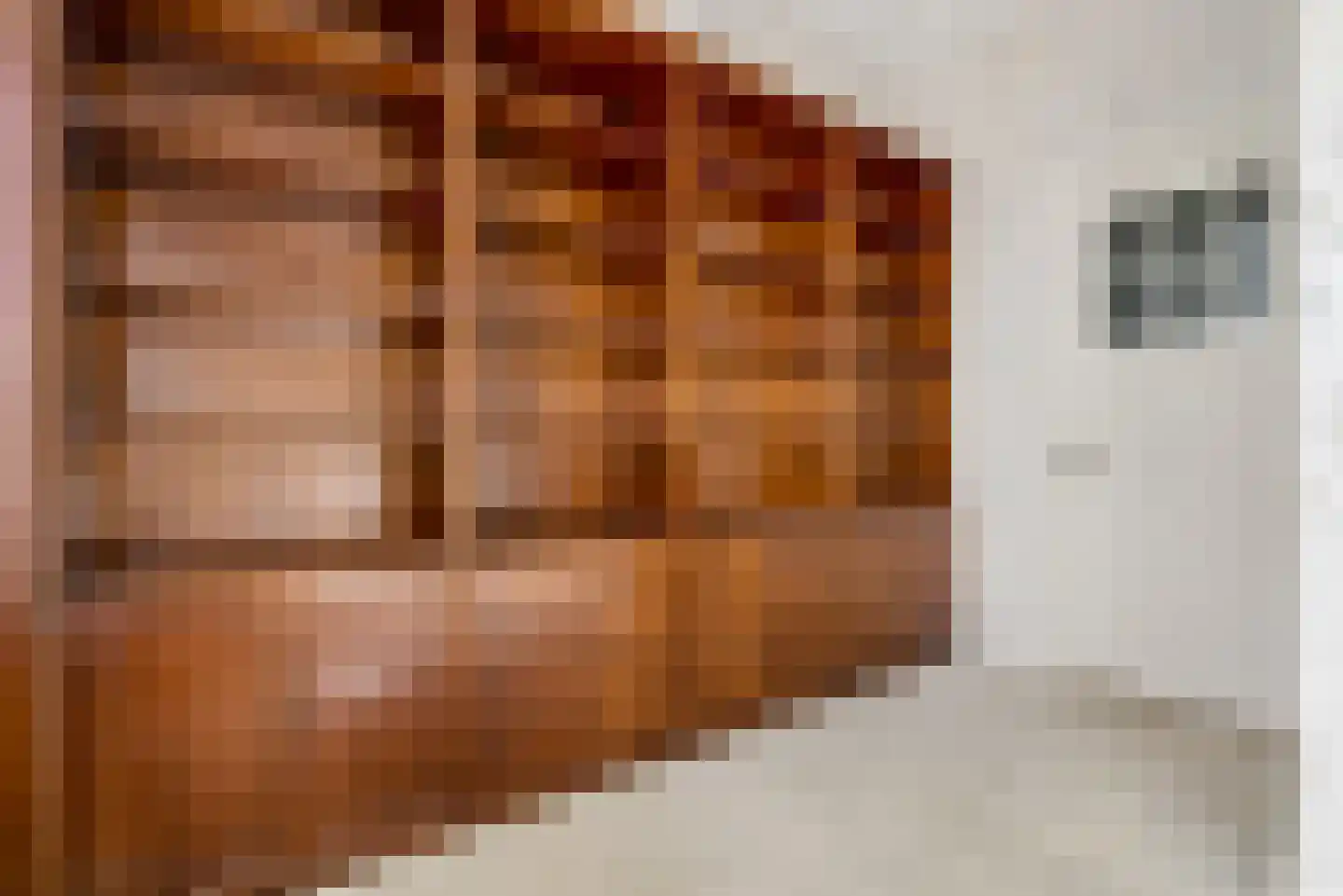 Willem de Zwijgerstraat 21 Utrecht thumbnail 28