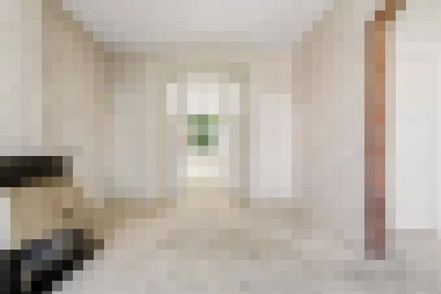 Willem de Zwijgerstraat 21 Utrecht thumbnail 32