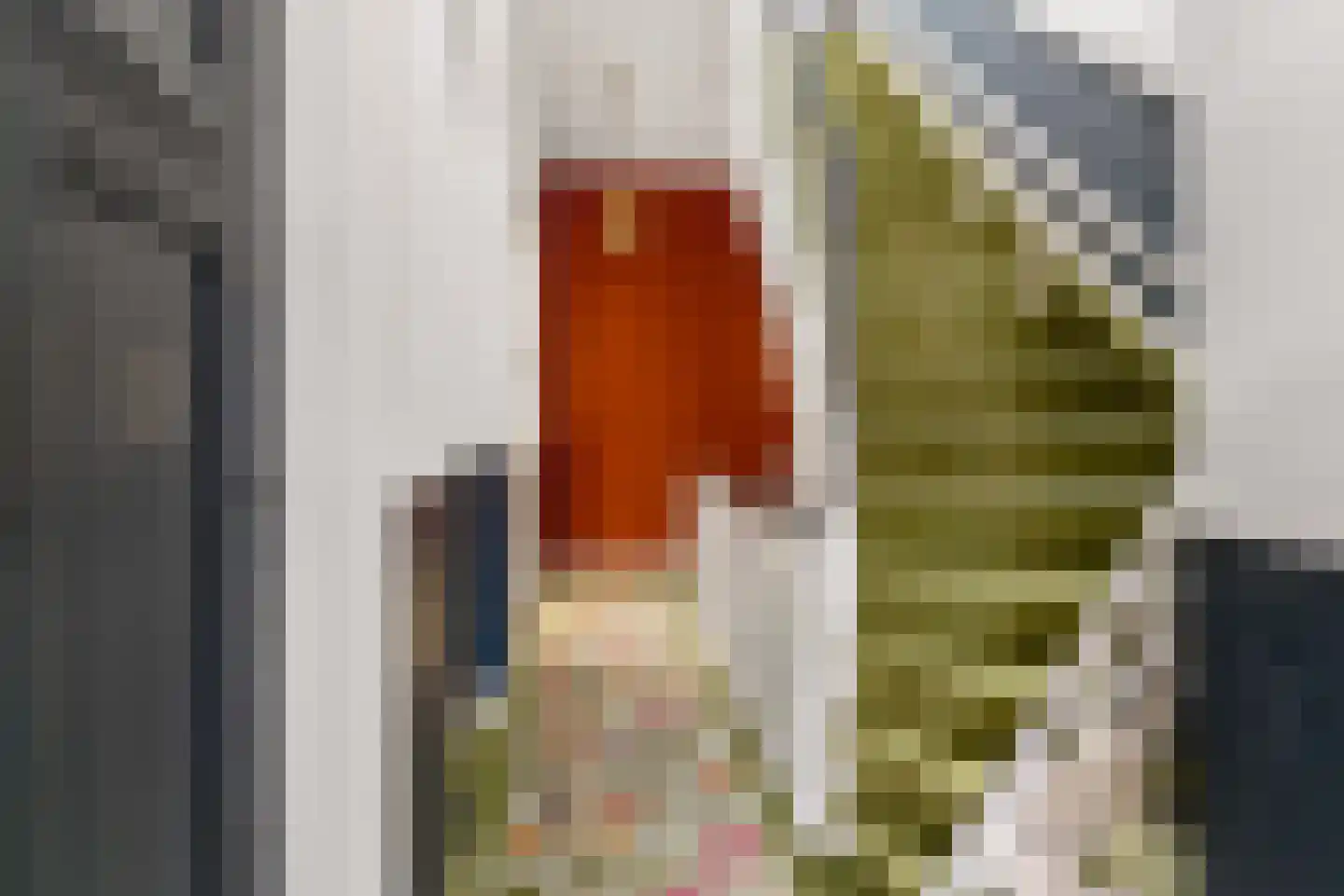 Willem de Zwijgerstraat 21 Utrecht thumbnail 34