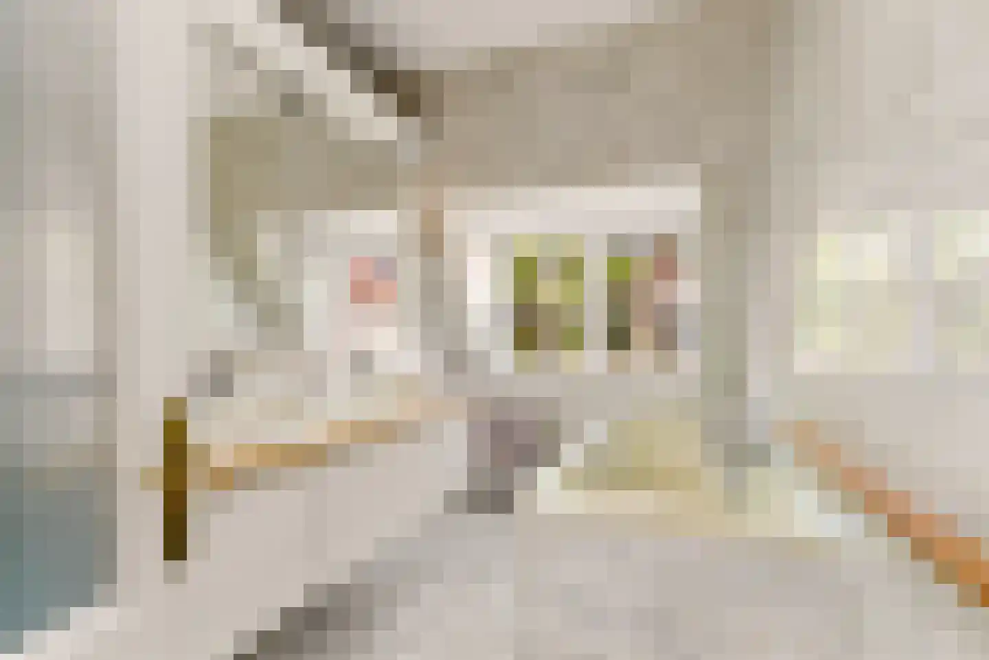 Willem de Zwijgerstraat 21 Utrecht thumbnail 40