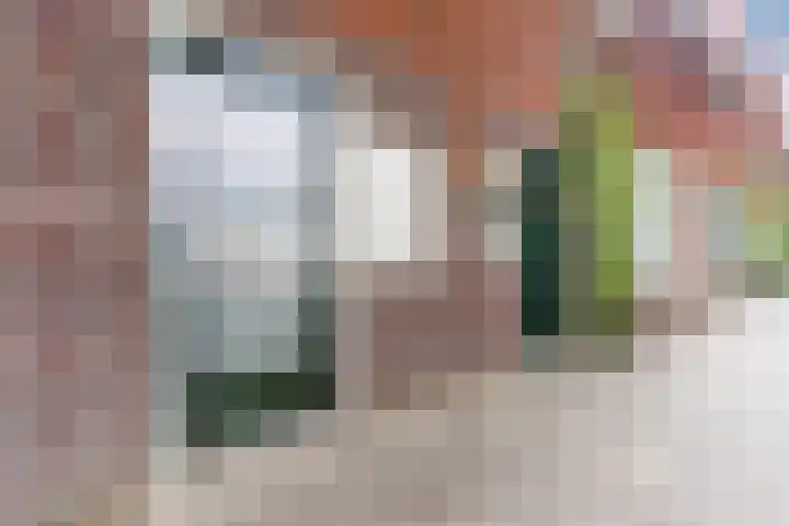 Willem de Zwijgerstraat 22 B Eindhoven thumbnail 4