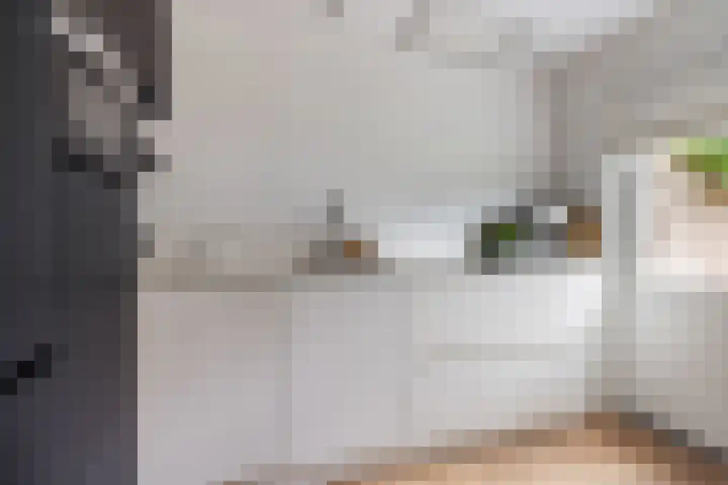 Willem de Zwijgerstraat 23 Eindhoven thumbnail 17